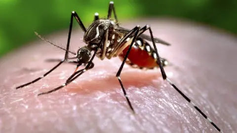Mosquito-borne illness in your zip code