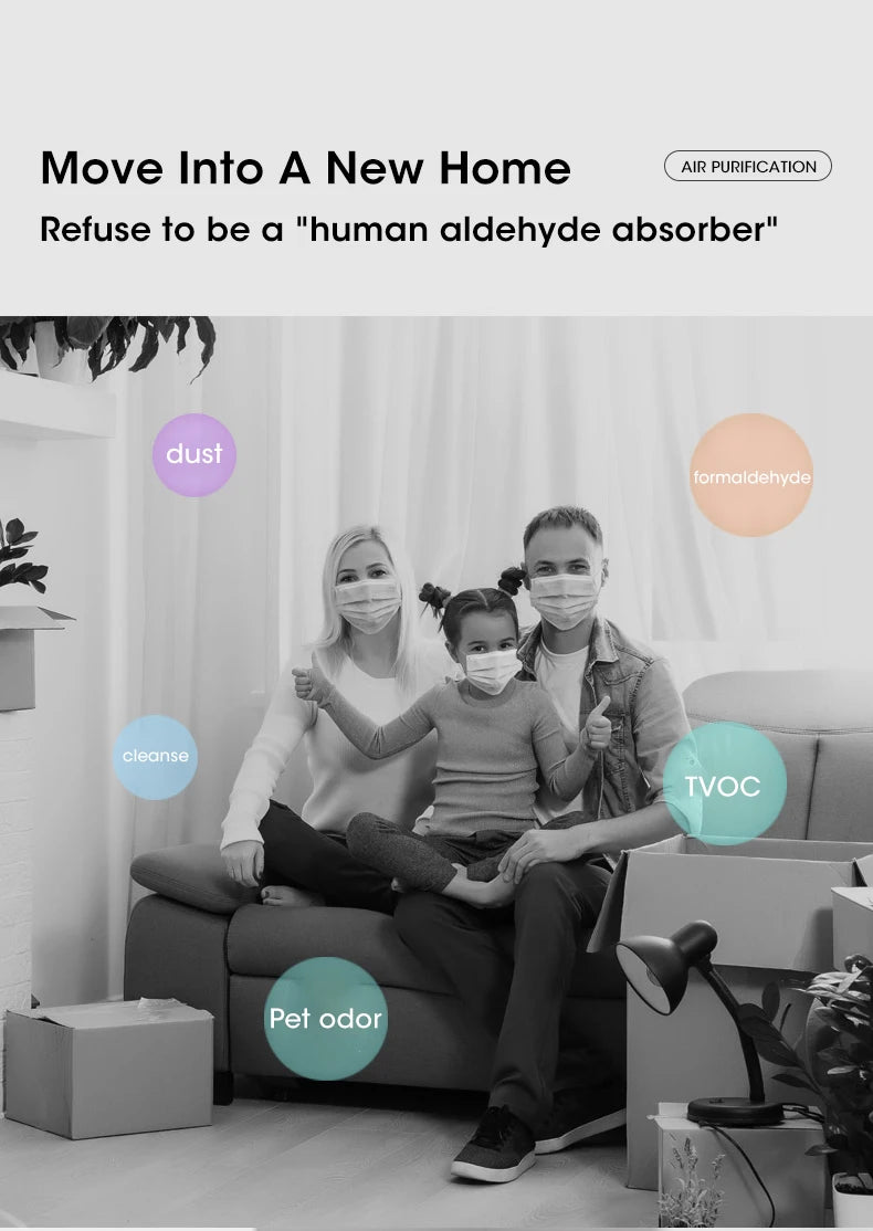 Mini Desktop Air Purifier - HEPA Filter H13 USB-C Portable