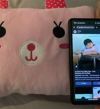 Kids Plush Hand Warmer Pillow - Cute Animal Design Gift